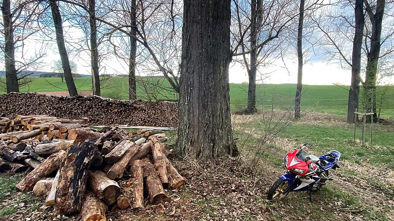 Nachdem der 48 Jahre alte Mann mit seinem Motorrad von der Straße abgekommen war, prallte er gegen einen am Fahrbahnrand gelagerten Holzstapel, nur knapp neben einem massiven Baum.
