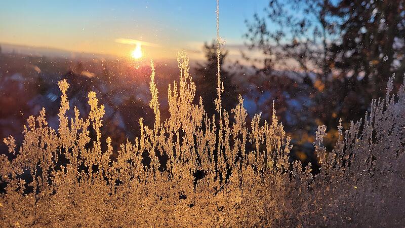 Nicht nur im Fr&uuml;hling bl&uuml;hen Blumen, auch im Winter. Diesmal eine Impression mit Eisblumen, passend zum aktuell durchaus kalten, und sch&ouml;nen Wetter mit Sonnenschein.