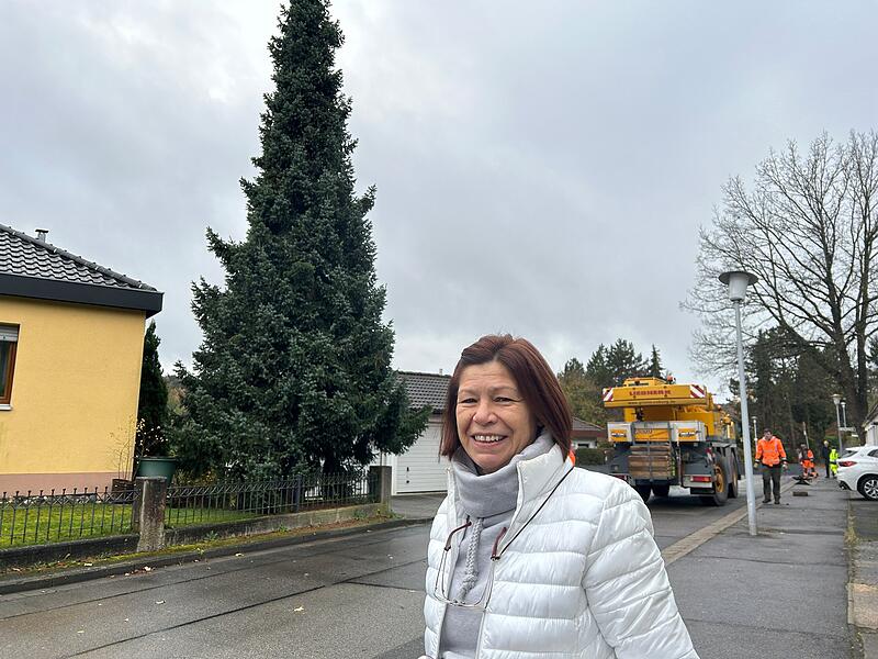 Unterwegs mit dem Coburger Weihnachtsbaum