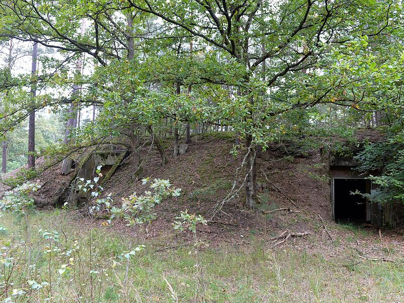Die Muna-Bunker hat sich die Natur zur&uuml;ckgeholt.