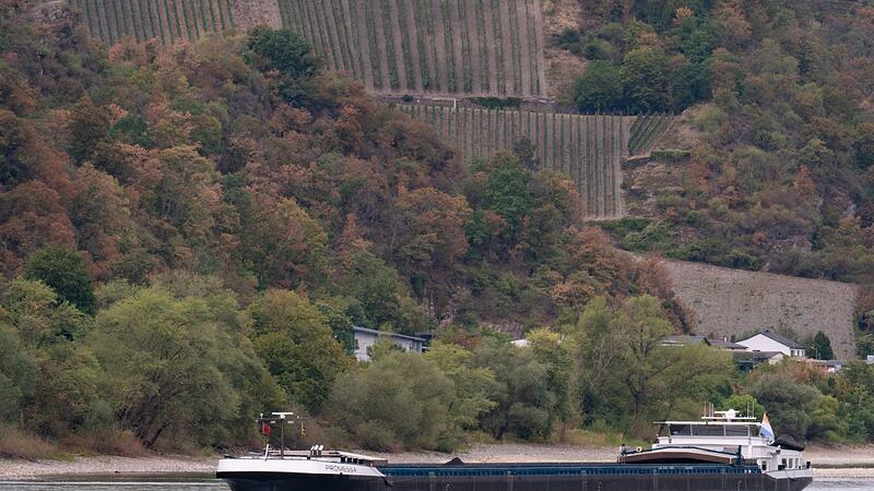 Wieder mehr Wasser im Rhein Wieder mehr Wasser im Rhein