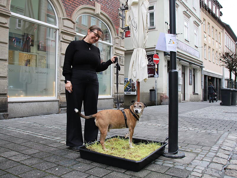 F&uuml;r Hunde wie &bdquo;Theo&ldquo; gibt es einfach zu wenig Gr&uuml;nfl&auml;chen in der Innenstadt. Vor der Asco-Sprachenschule haben Melanie Becker und das Team nun diese L&ouml;sung geschaffen.