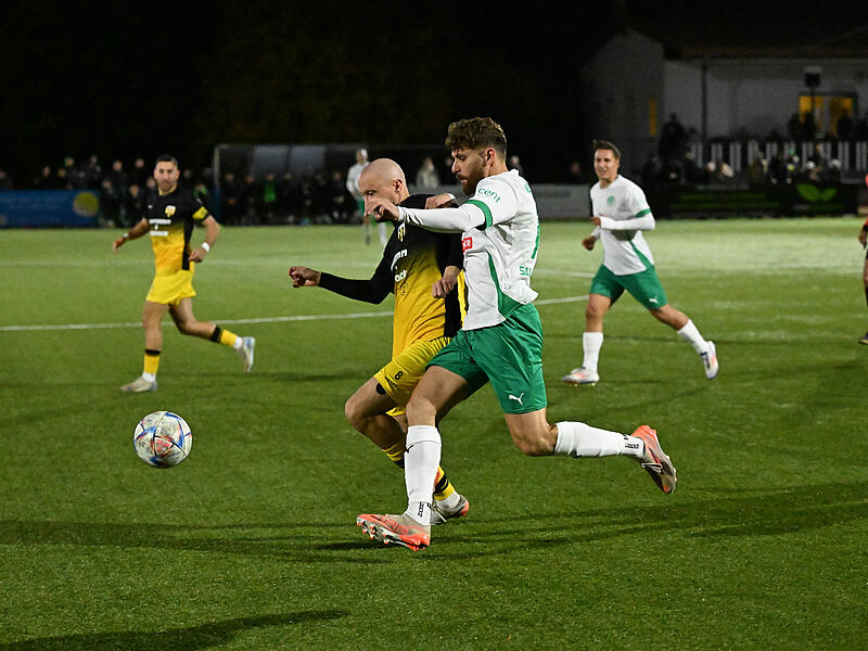 Sport Fußball Saison 2025 / 2026 Bayernliga Nord  15. Spieltag am Freitag  24.10.2025 Spielort  Neudrossenfeld  Sportpark Am Weinberg  Kunstrasenplatz  Spielbeginn 19.00 h  TSV Neudrossenfeld  gegen  SpVgg Bayern Hof Halbzeitergebnis Michael Sauerstein M