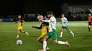 Sport Fußball Saison 2025 / 2026 Bayernliga Nord  15. Spieltag am Freitag  24.10.2025 Spielort  Neudrossenfeld  Sportpark Am Weinberg  Kunstrasenplatz  Spielbeginn 19.00 h  TSV Neudrossenfeld  gegen  SpVgg Bayern Hof Halbzeitergebnis Michael Sauerstein M