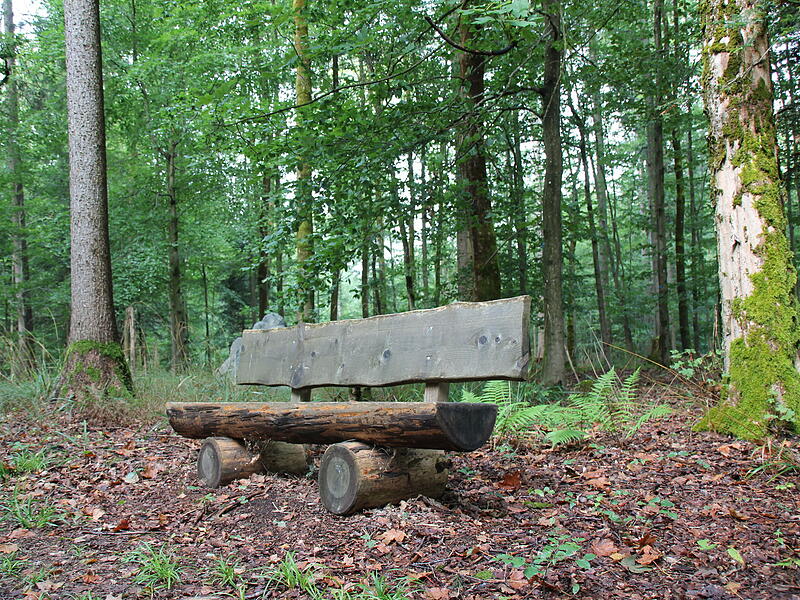 Die B&auml;nke zeugen von der Verg&auml;nglichkeit &ndash; auch in der Natur.