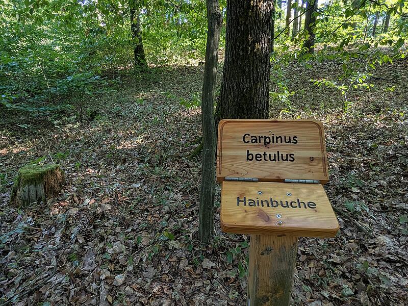 Naturlehrpfad RehbergNaturlehrpfad Rehberg