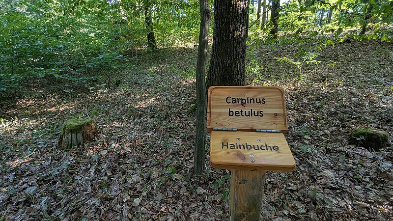 Naturlehrpfad RehbergNaturlehrpfad Rehberg