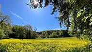 So wünscht man sich den Mai: Strahlende Sonne, blauer Himmel und eine üppig sprießende Natur.Forchheim & Fränkische Schweiz