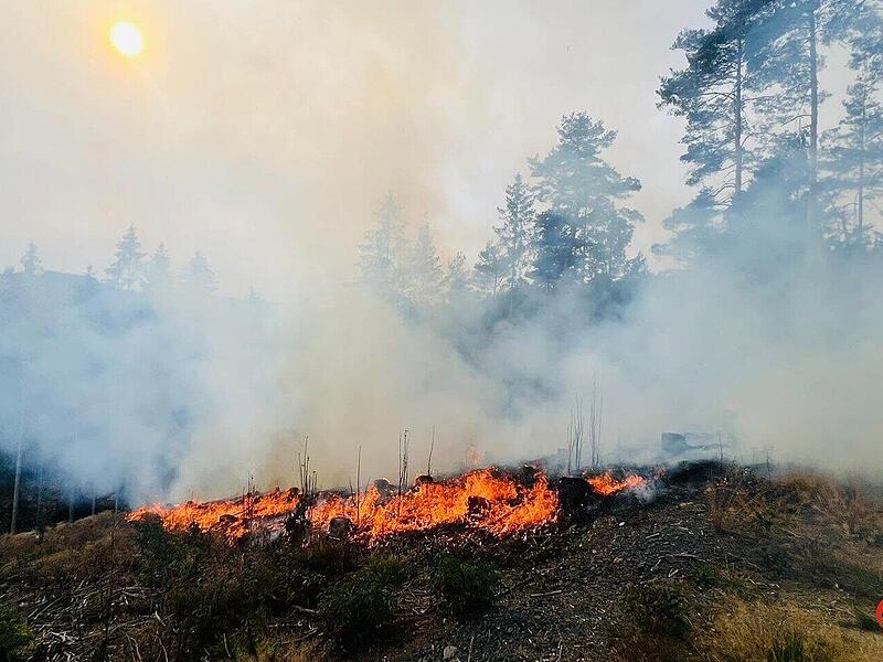 Nutzfeuer im Kreis Kronach breitet sich unkontrolliert auf Waldfl&auml;che aus