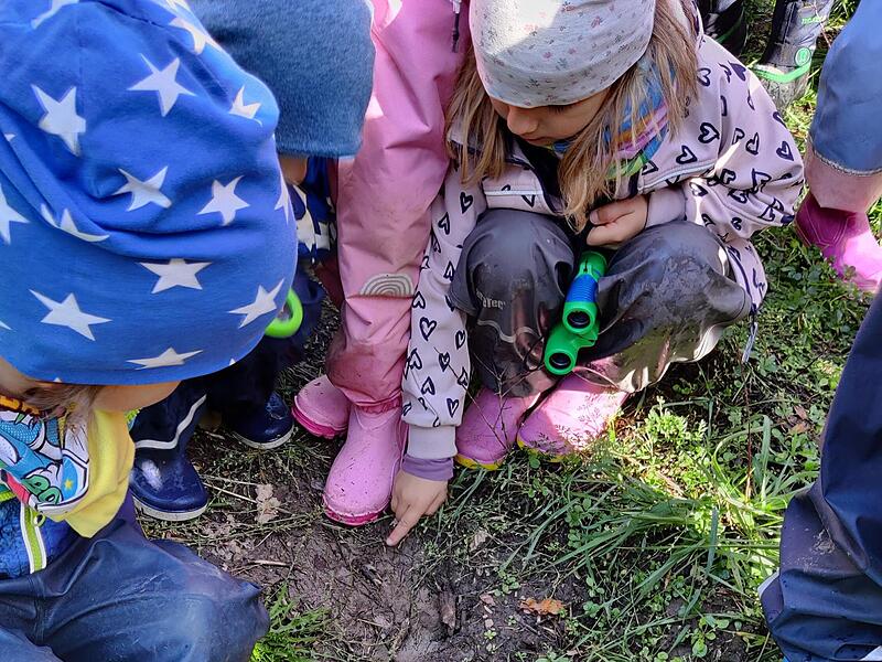 Spuren von Rehen, Fröschen und Wildschweinen gibt es im Matsch zu entdecken.