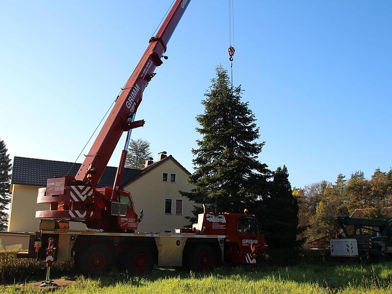 Hier h&auml;ngt der Meilschnitzer Baum bereits am Haken &ndash; und hatte gro&szlig;e Pl&auml;ne. Doch wenig sp&auml;ter war er Brennholz.