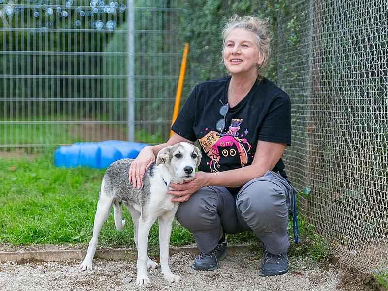 Hunde, Katzen und mehr: Im Tierheim Forchheim tummeln sich täglich Dutzende Tiere und hoffen auf eine „neue Familie". Nach Jahren der Diskussion plant der Tierschutzbund nun einen großen Neubau auf dem Gelände.