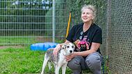 Hunde, Katzen und mehr: Im Tierheim Forchheim tummeln sich täglich Dutzende Tiere und hoffen auf eine „neue Familie". Nach Jahren der Diskussion plant der Tierschutzbund nun einen großen Neubau auf dem Gelände.
