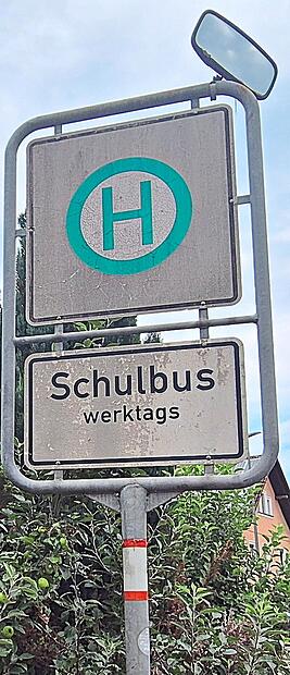Schulbuslinien sollen nicht in den allgemeinen &ouml;ffentlichen Personennahverkehr integriert werden, sagt der Heiligenst&auml;dter Gemeinderat.Claudia Deason