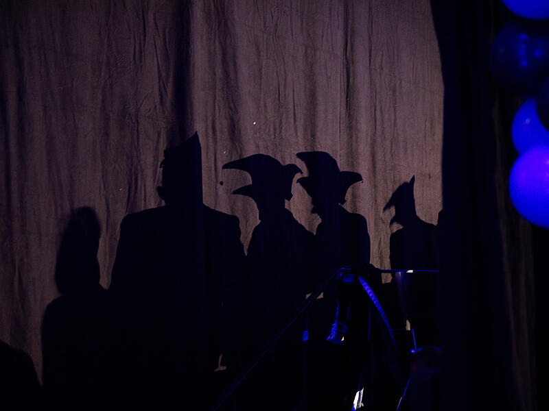 Die Komiteem&uuml;tzen des Elferrats warfen ihre Schatten an die Wand.
