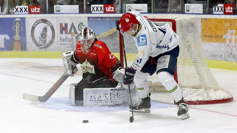 Die Schweinfurter Mighty Dogs (rechts Tomas Cermak) hatten am Sonntag keine große Mühe, um bei den Hawks deutlich zu gewinnen. Nicolas Hetzel im Tor der Haßfurter musste wie zuvor schon Maximilian Schmidt sechs Mal hinter sich greifen.