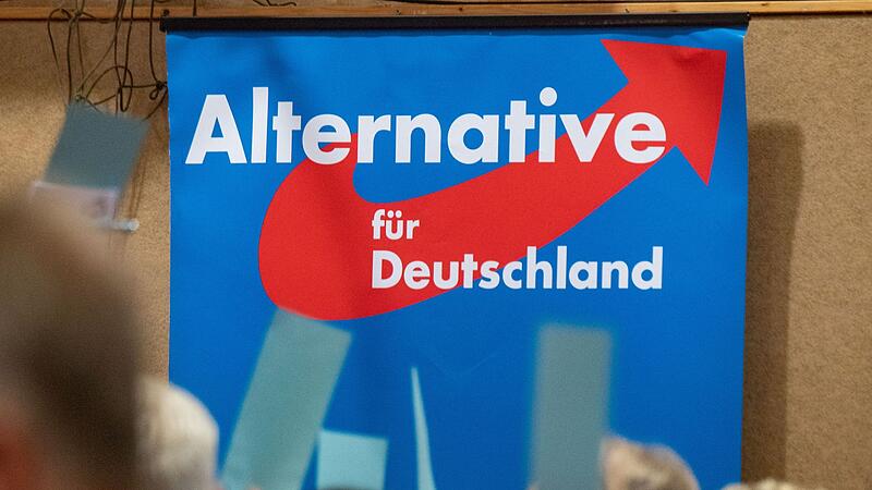 Plakat der AfD Plakat der AfD