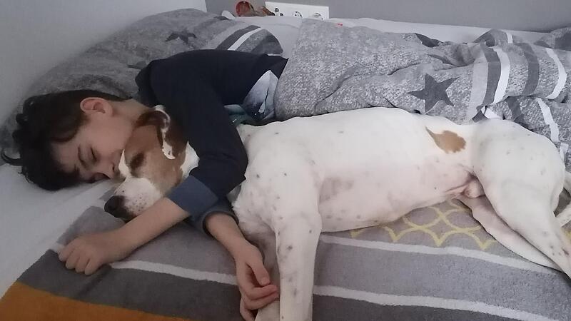 Tristan Ott ist zehn Jahre alt und ein Pflegefall. Schüler aus Neunkirchen am Brand möchten ihm nun helfen.
