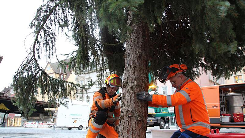 Zentimeterarbeit auf dem Marktplatz in Coburg: Der Weihnachtsbaum wird im eigens daf&uuml;r vorgesehenen Loch befestigt.