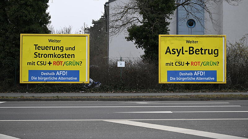 Omin&ouml;se AfD-Wahlplakate in Bamberg