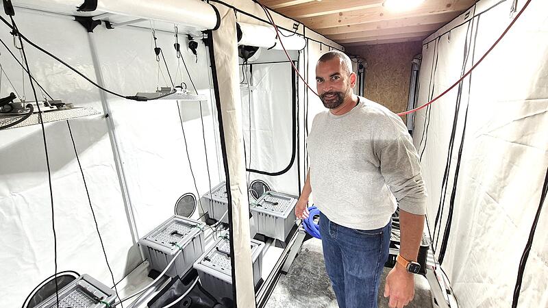 Bald schon sollen hier Cannabis-Pflanzen blühen: Der Chemiker Dr. Martin Pley in seiner Anzuchthalle auf dem Kälberberg bei Buttenheim Bald schon sollen hier Cannabis-Pflanzen blühen: Der Chemiker Dr. Martin Pley in seiner Anzuchthalle auf dem Kälberberg bei Buttenheim