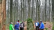 Auf der Rundwanderung ging es zum Röthelfels und zu einem Gedenkstein. Auf der Rundwanderung ging es zum Röthelfels und zu einem Gedenkstein.
