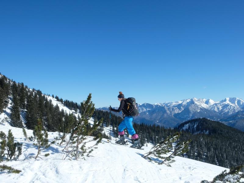 Blick auf die Loferer Steinberge
