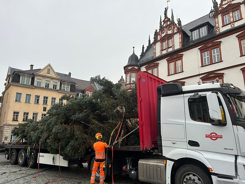 Unterwegs mit dem Coburger Weihnachtsbaum