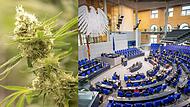 Cannabis-Legalisierung im Bundestag