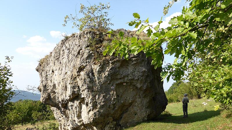 Scheinbar seit Urzeiten geologisch Festgefügtes kommt immer wieder in Bewegung – etwa dieser, vor langer Zeit aus der Felsenkrone des Staffelbergs abgestürzte Felsblock. Wer auf der Felskrone des Staffelberg steht, kann eine Spalte erkennen, die m...