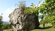 Scheinbar seit Urzeiten geologisch Festgefügtes kommt immer wieder in Bewegung – etwa dieser, vor langer Zeit aus der Felsenkrone des Staffelbergs abgestürzte Felsblock. Wer auf der Felskrone des Staffelberg steht, kann eine Spalte erkennen, die m...