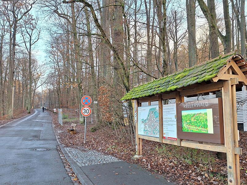 Im Winter beschaulich ist der Kellerwald in den Sommermonaten die Hauptattraktion der Stadt &ndash; neben der Altstadt.Forchheim & Fr&auml;nkische Schweiz