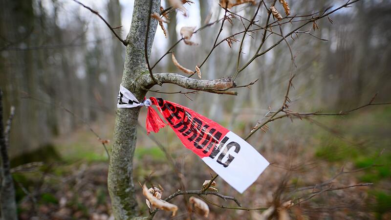 Baum umgestürzt - Drei Tote bei Flensburg Baum umgestürzt - Drei Tote bei Flensburg