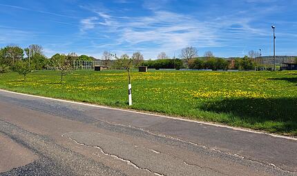 Auf dieser gr&uuml;nen Wiese &ndash;  im Hintergrund das Sportgel&auml;nde und im Vordergrund die Staatsstra&szlig;e &ndash;  soll das neue Feuerwehrhaus in Kunreuth gebaut werden.