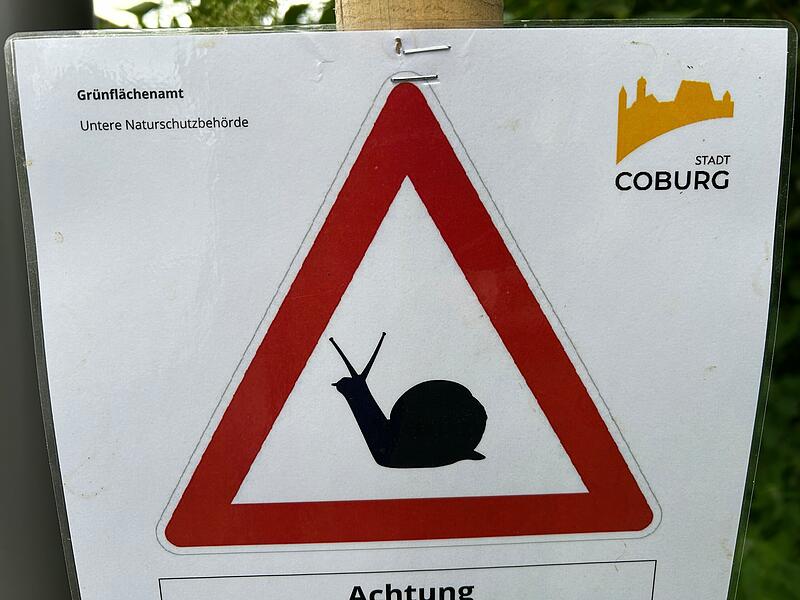 Weinbergschnecken in Coburg Gefährliche Kreuzung: Rund ums Globe fühlen sich Weinbergschnecken offensichtlich besonders wohl. Deshalb wurden jetzt Hinweisschilder wie diese aufgestellt.