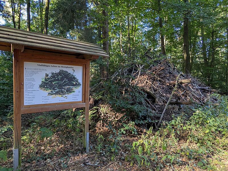 Naturlehrpfad RehbergNaturlehrpfad Rehberg