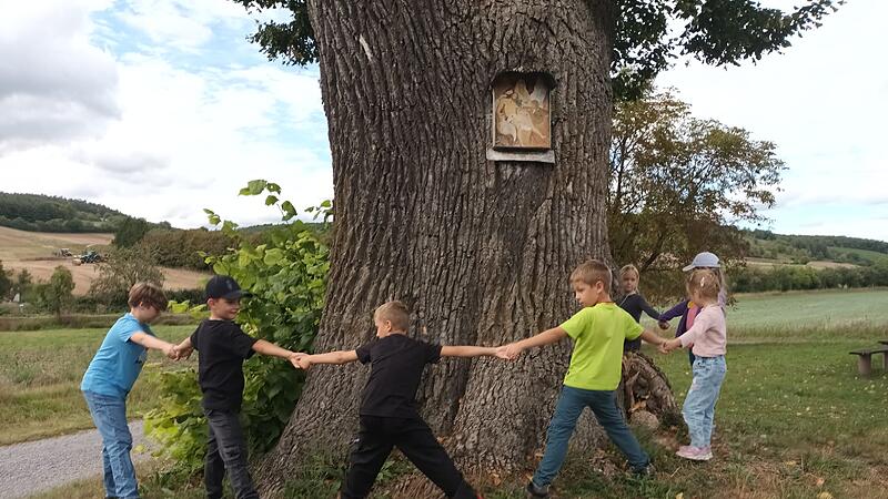 OGV Hammelburg OGV Hammelburg