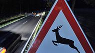Wildwechsel könnte der Auslöser für einen Unfall bei Tettau gewesen sein.