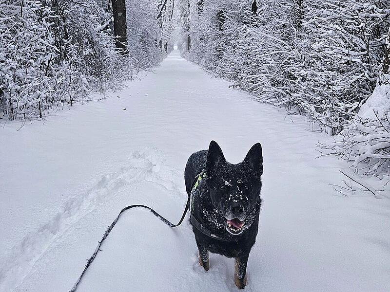 Schnee in Kulmbach: Die sch&ouml;nsten Leserfotos