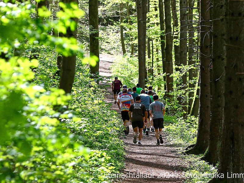 Eindr&uuml;cke vom Steinachtallauf der SGB Stadtsteinach