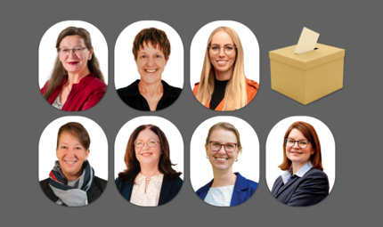 Das sind die B&uuml;rgermeisterinnen im Landkreis Bamberg (Wahl 2026): Mirjam Stark, Sigrid Reinfelder, Clarissa Schmitt (hinten von links), Denise M&uuml;ller, Regina Wohlpart, Stephanie Auer-Neuberg und Michaela Kaiser (vorne von links).