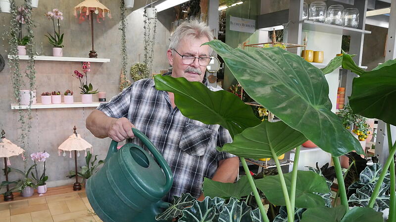 J&uuml;rgen Hurrlein, G&auml;rtner und Florist, gie&szlig;t eine Alocasia. Diese tropische Pflanze braucht viel Wasser.