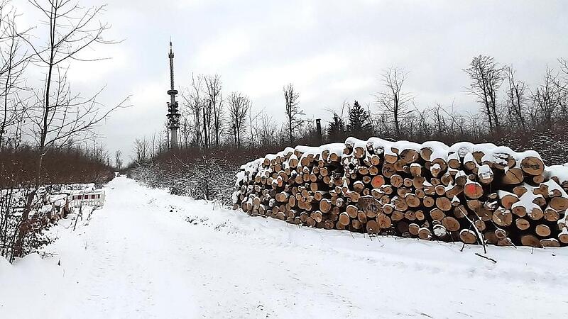 Buchenstämme stapelten sich im Januar zu Hunderten entlang der Forstwege auf dem Geisberg.