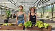 Die beiden Künstlerinnen Corinna Wagner (rechts) und Inka Schottdorf zeigen in ihrem „else!3“-Projekt, ob und wie Salatköpfe und Radieschen auf zarte elektromagnetische Ströme reagieren. Wachsen sie besser? Schmecken sie besser? Die beiden Künstlerinnen Corinna Wagner (rechts) und Inka Schottdorf zeigen in ihrem „else!3“-Projekt, ob und wie Salatköpfe und Radieschen auf zarte elektromagnetische Ströme reagieren. Wachsen sie besser? Schmecken sie besser?