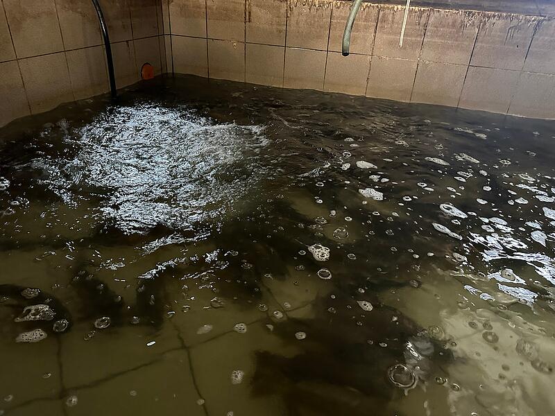 Fischwirt ErlangenFischwirt Erlangen Fischwirt ErlangenFischwirt Erlangen