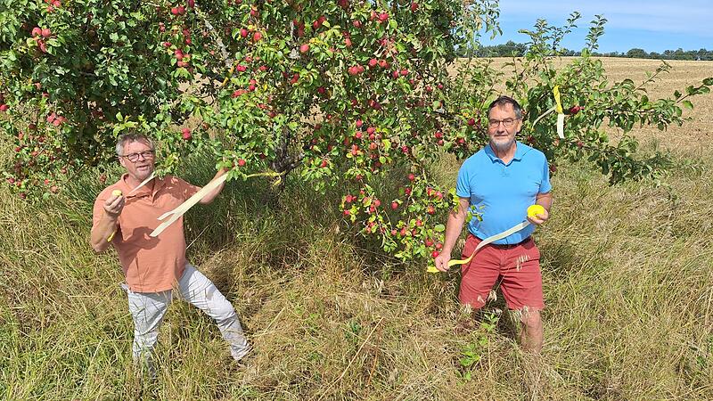 Das Bild zeigt den Kreisfachberater Guntram Ulsamer (links) und den Vorsitzenden des Bund Naturschutzes in Ebern, Harald Amon. Sie sind damit besch&auml;ftigt B&auml;ume mit den B&auml;ndern zu kennzeichnen.