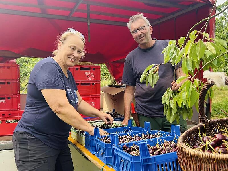 Anja und Martin Friedrich arbeiten im malerischen Kirschgarten hoch &uuml;ber Igensdorf im Herzen der Fr&auml;nkischen Schweiz.