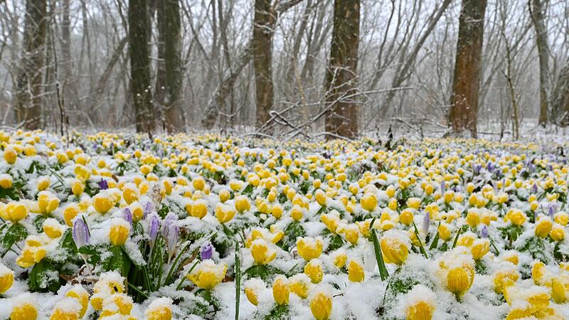 Wintereinbruch