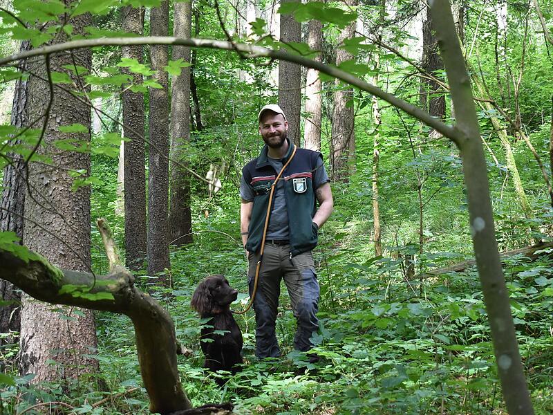 Henry Preu&szlig;, Forstrevierleiter in EgloffsteinForchheim & Fr&auml;nkische Schweiz