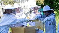 Neue Bienen-AG Grundschule Untermerzbach Neue Bienen-AG Grundschule Untermerzbach